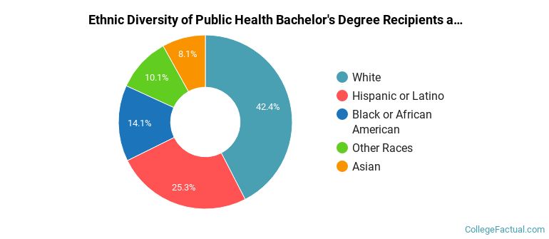 Ethnic diversity of Public Health majors at Portland State University