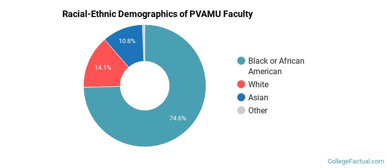 Racial-Ethnic Demographics of PVAMU Faculty