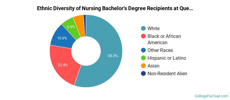 Ethnic diversity of Nursing majors at Queens University of Charlotte