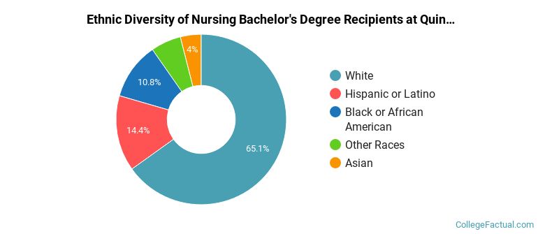 Ethnic diversity of Nursing majors at Quinnipiac University