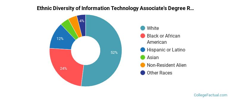 Ethnic diversity of Information Technology majors at Quinsigamond Community College