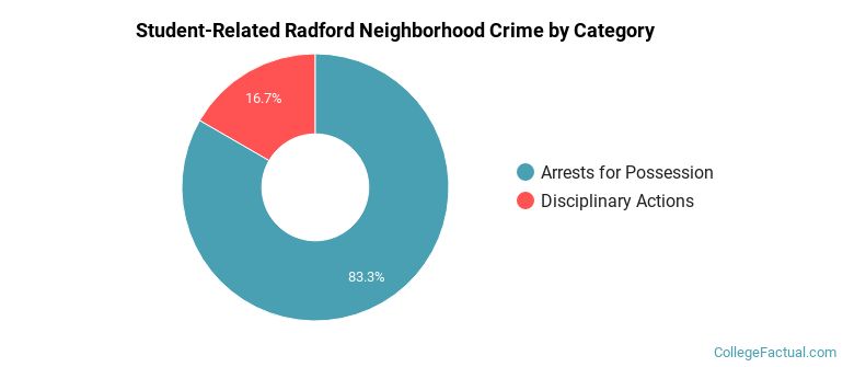 Student-Related Radford Neighborhood Crime by Category