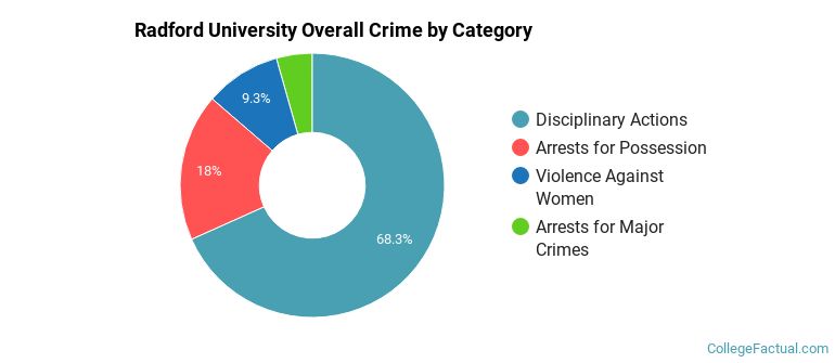 Radford University Overall Crime by Category