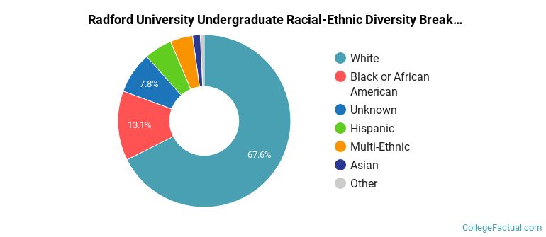Radford University Racial-Ethnic Diversity Pie Chart