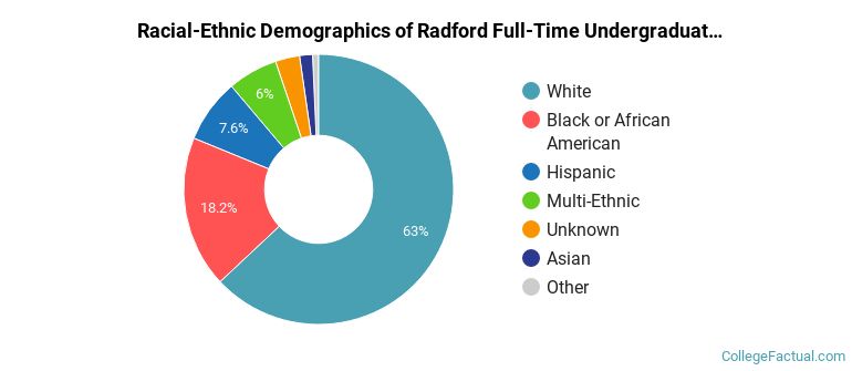Radford University Undergraduate Racial-Ethnic Diversity Pie Chart