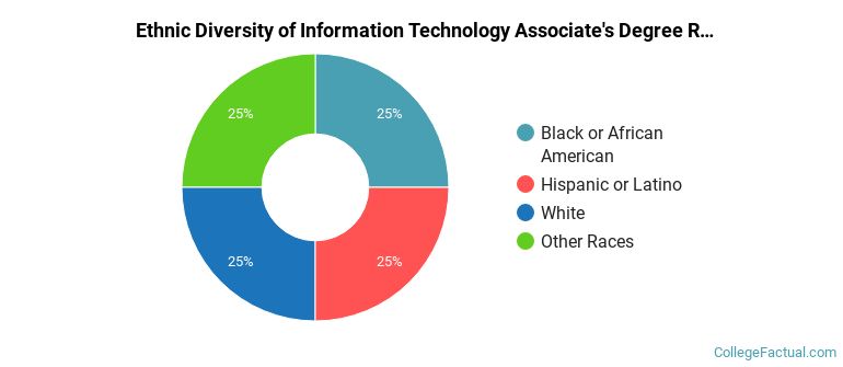 Ethnic diversity of Information Technology majors at Rasmussen University-Florida