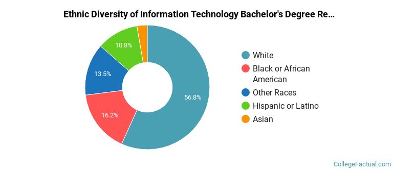 Ethnic diversity of Information Technology majors at Rasmussen University-Florida