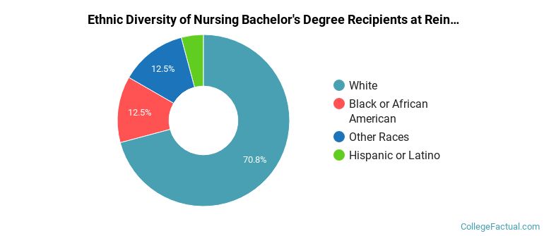 Ethnic diversity of Nursing majors at Reinhardt University