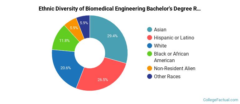 The Bio Engineering Major at Rice University
