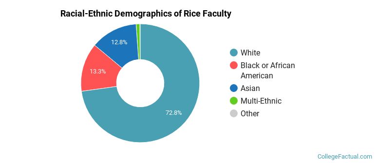 Racial-Ethnic Demographics of Rice Faculty