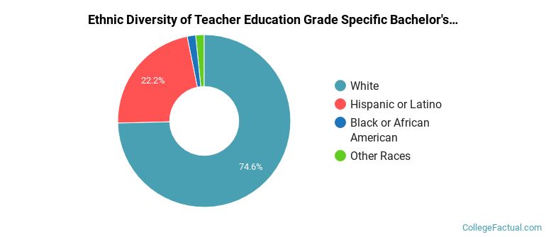 Ethnic diversity of Teacher Education Grade Specific majors at Rider University