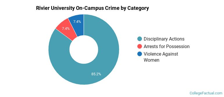 Rivier University On-Campus Crime by Category
