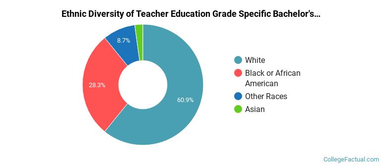 Ethnic diversity of Teacher Education Grade Specific majors at Rochester University