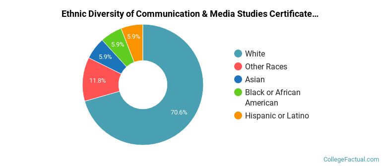 Ethnic diversity of Communication & Media Studies majors at Rochester Community and Technical College