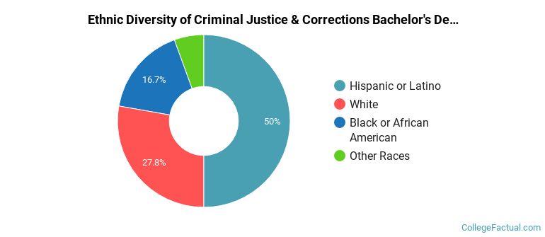 Ethnic diversity of Criminal Justice & Corrections majors at Roosevelt University