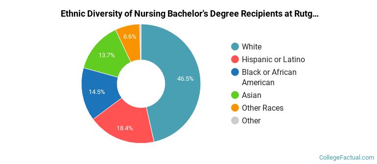 Ethnic diversity of Nursing majors at Rutgers University-Camden