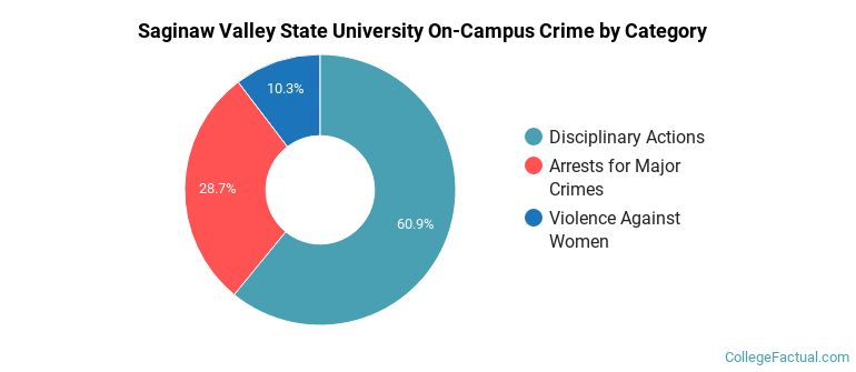 Saginaw Valley State University On-Campus Crime by Category