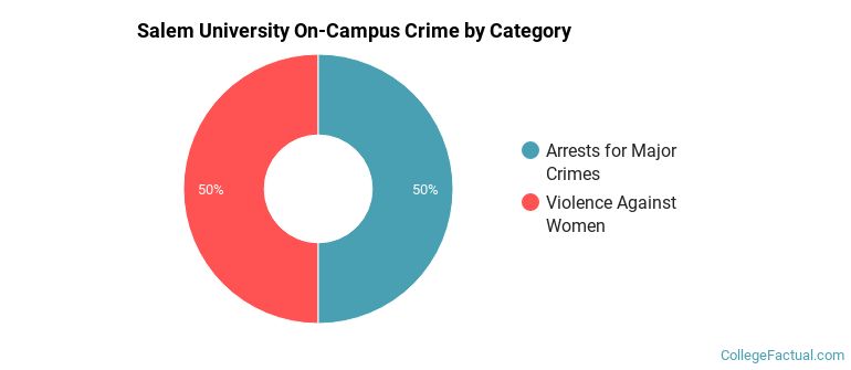 Salem University On-Campus Crime by Category