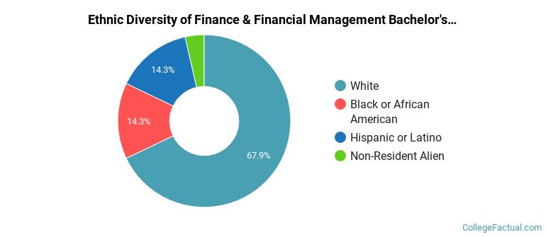 Ethnic diversity of Finance & Financial Management majors at Salem State University