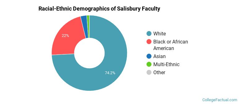 Racial-Ethnic Demographics of Salisbury Faculty