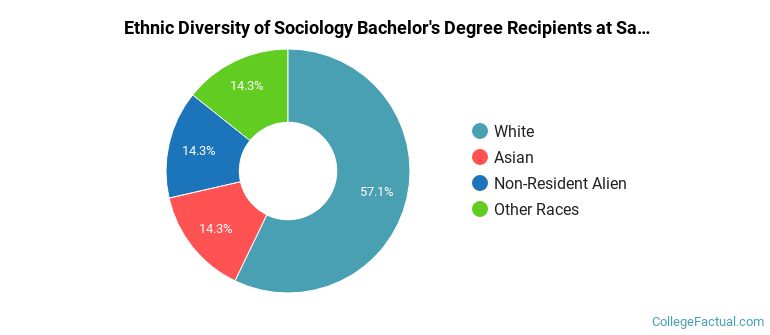 Ethnic diversity of Sociology majors at Salve Regina University