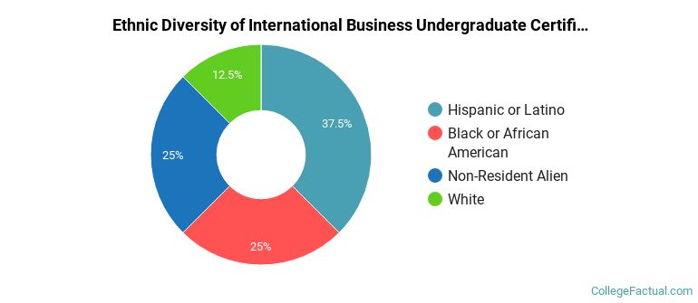 Ethnic diversity of International Business majors at San Jacinto Community College