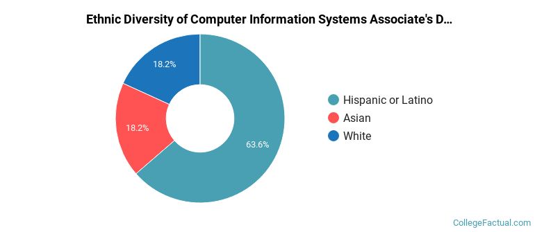 Ethnic diversity of Computer Information Systems majors at San Joaquin Valley College-Visalia