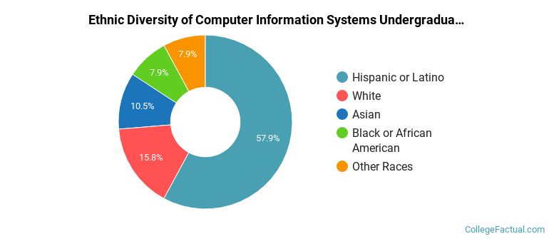 Ethnic diversity of Computer Information Systems majors at San Joaquin Valley College-Visalia