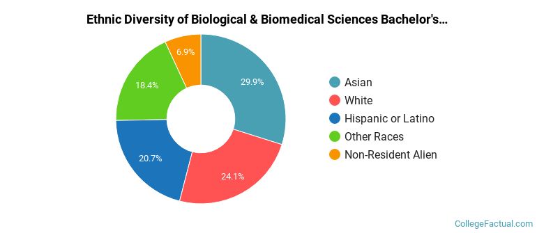 Ethnic diversity of Biological & Biomedical Sciences majors at Santa Clara University