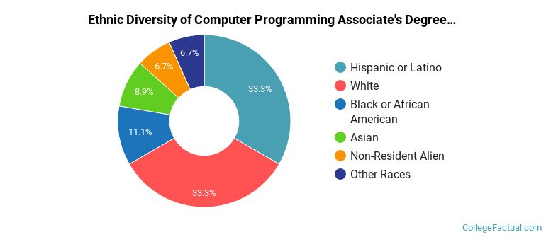 Ethnic diversity of Computer Programming majors at Santa Monica College
