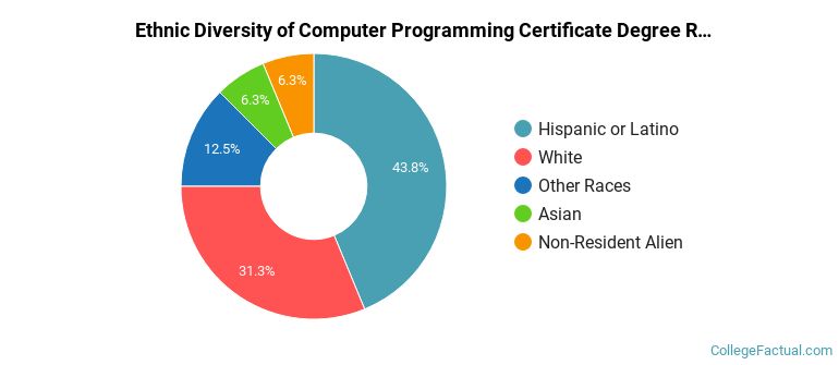 Ethnic diversity of Computer Programming majors at Santa Monica College