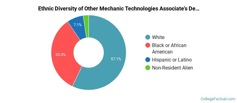 Ethnic diversity of Other Mechanic Technologies majors at Savannah Technical College