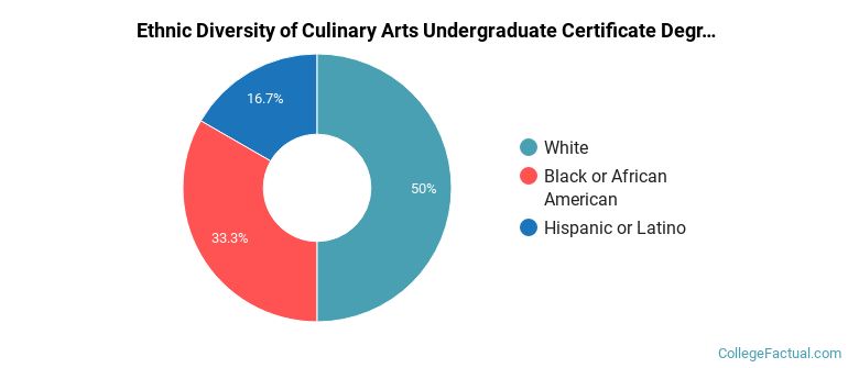 Ethnic diversity of Culinary Arts majors at Schenectady County Community College