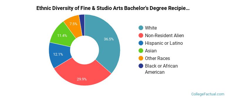 Ethnic diversity of Fine & Studio Arts majors at School of the Art Institute of Chicago