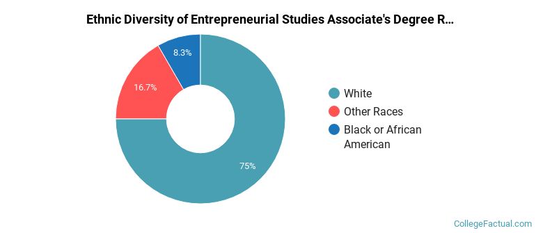 Ethnic diversity of Entrepreneurial Studies majors at Schoolcraft Community College District
