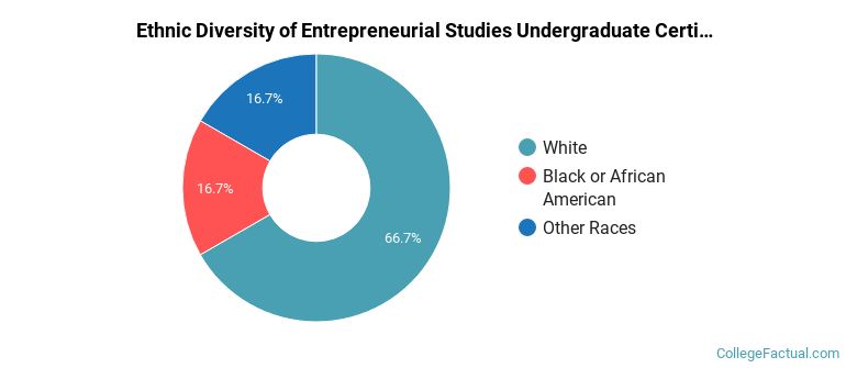 Ethnic diversity of Entrepreneurial Studies majors at Schoolcraft Community College District