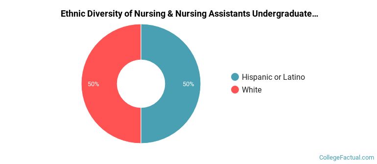Ethnic diversity of Nursing & Nursing Assistants majors at Schreiner University