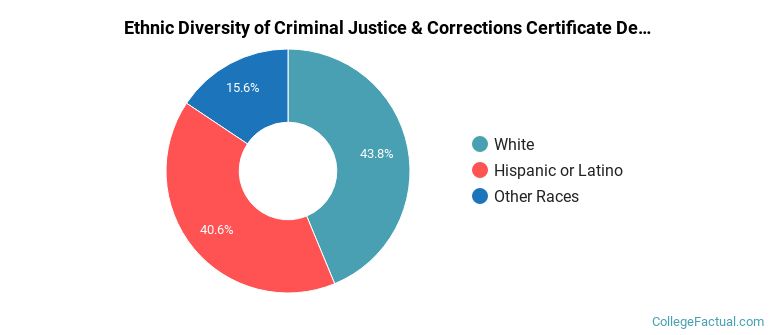 Ethnic diversity of Criminal Justice & Corrections majors at Scottsdale Community College