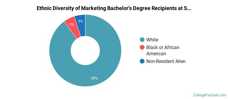 Ethnic diversity of Marketing majors at Seton Hill University