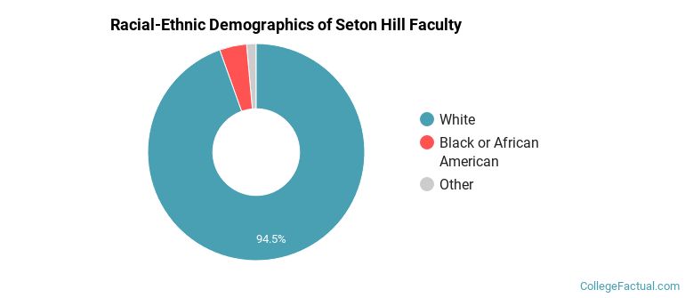 Racial-Ethnic Demographics of Seton Hill Faculty