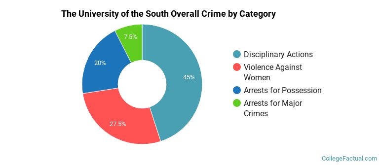 The University of the South Overall Crime by Category