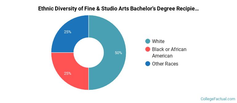 Ethnic diversity of Fine & Studio Arts majors at Siena Heights University