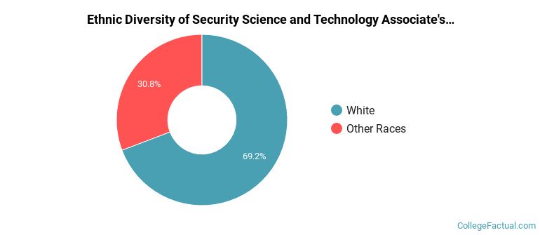 Ethnic diversity of Security Science and Technology majors at Sinclair Community College