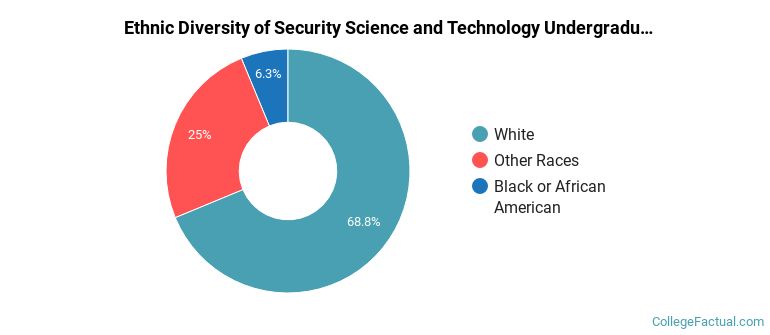 Ethnic diversity of Security Science and Technology majors at Sinclair Community College