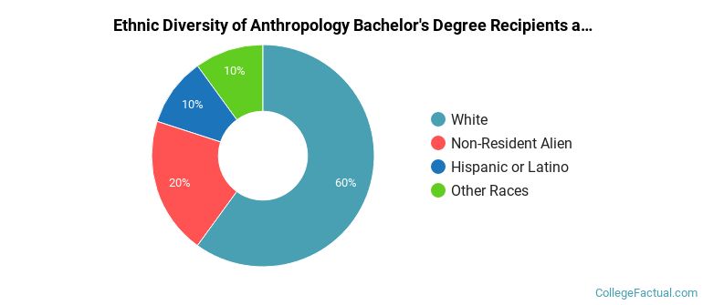 Ethnic diversity of Anthropology majors at Skidmore College