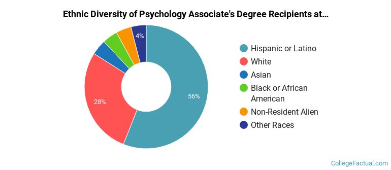 Ethnic diversity of Psychology majors at South Plains College