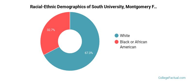 Racial-Ethnic Demographics of South University, Montgomery Faculty
