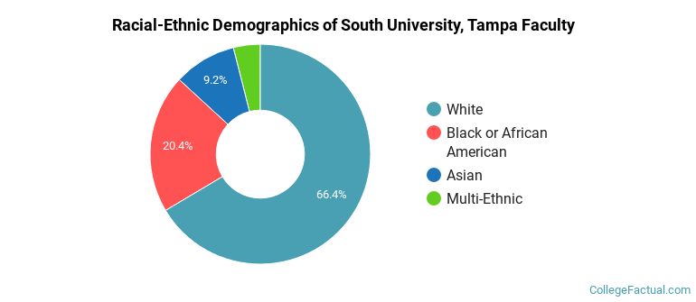 Racial-Ethnic Demographics of South University, Tampa Faculty