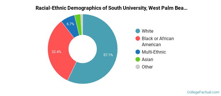 Racial-Ethnic Demographics of South University, West Palm Beach Faculty