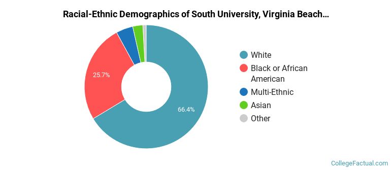Racial-Ethnic Demographics of South University, Virginia Beach Faculty